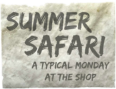 Summer Safari